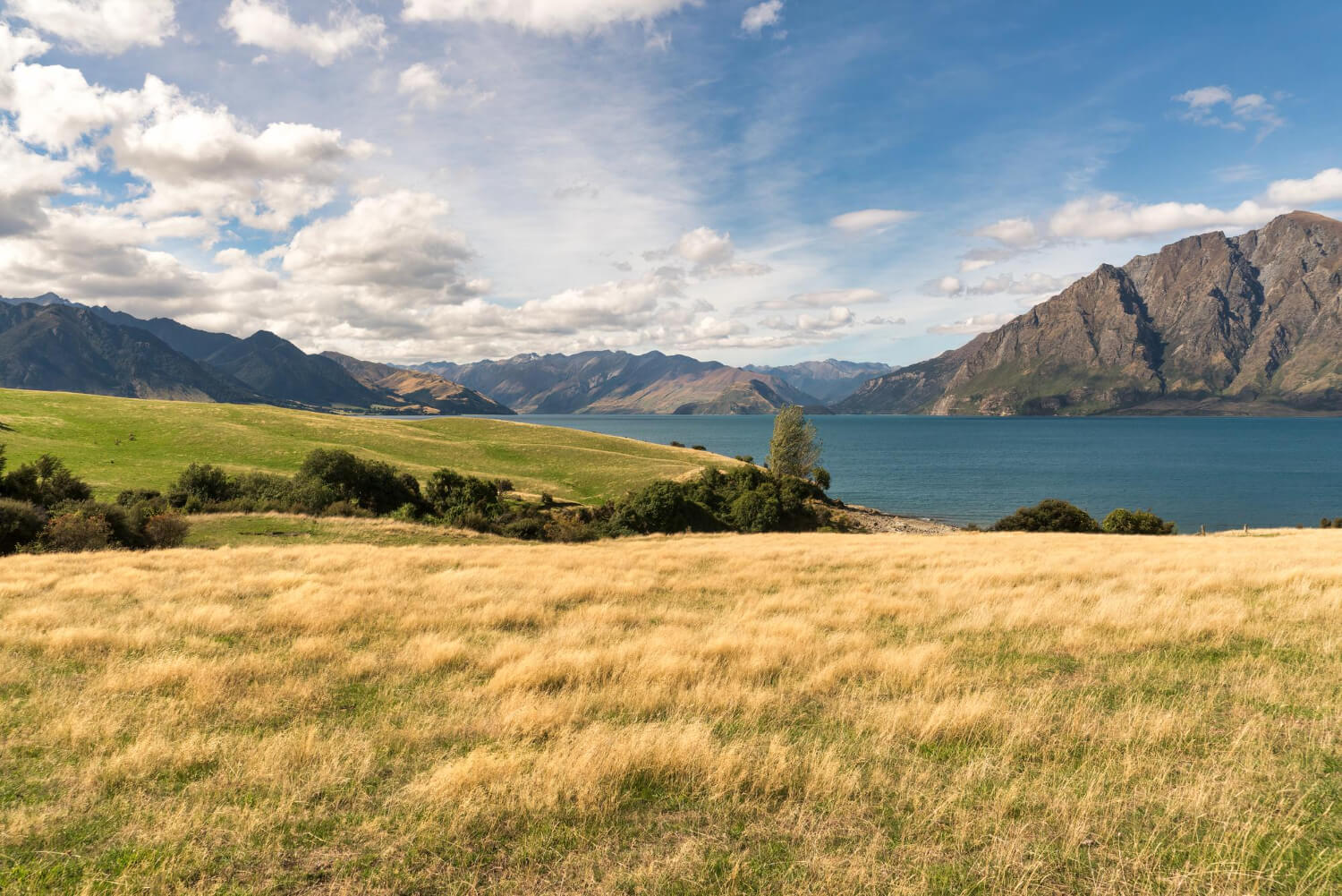 rural agricultural farmland on the shores of lake hawea