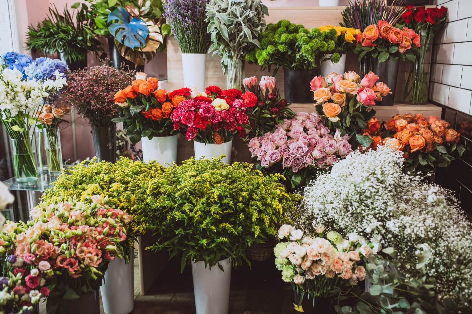 a large selection of different flowers in vases