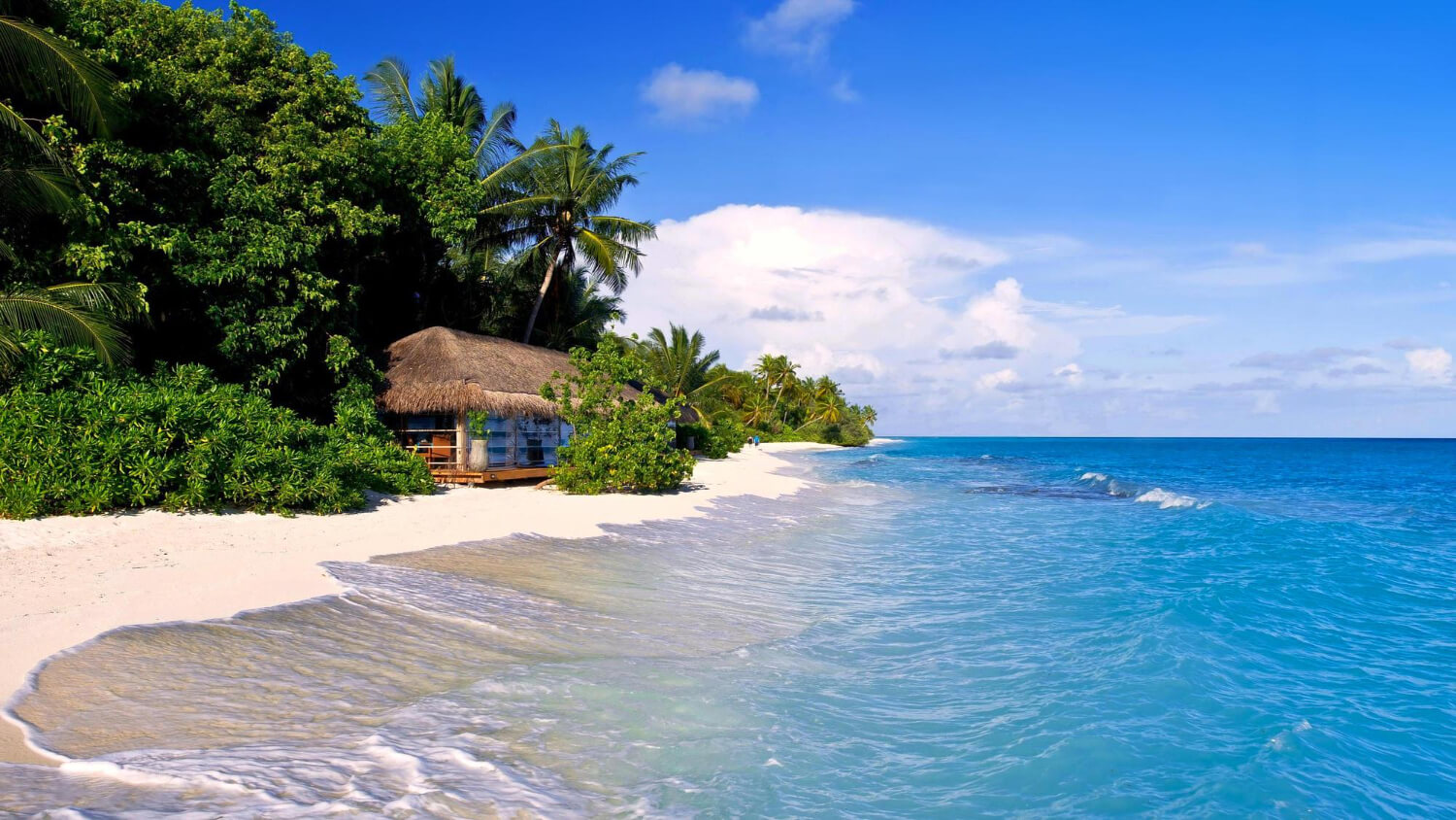 a house on a beautiful beach