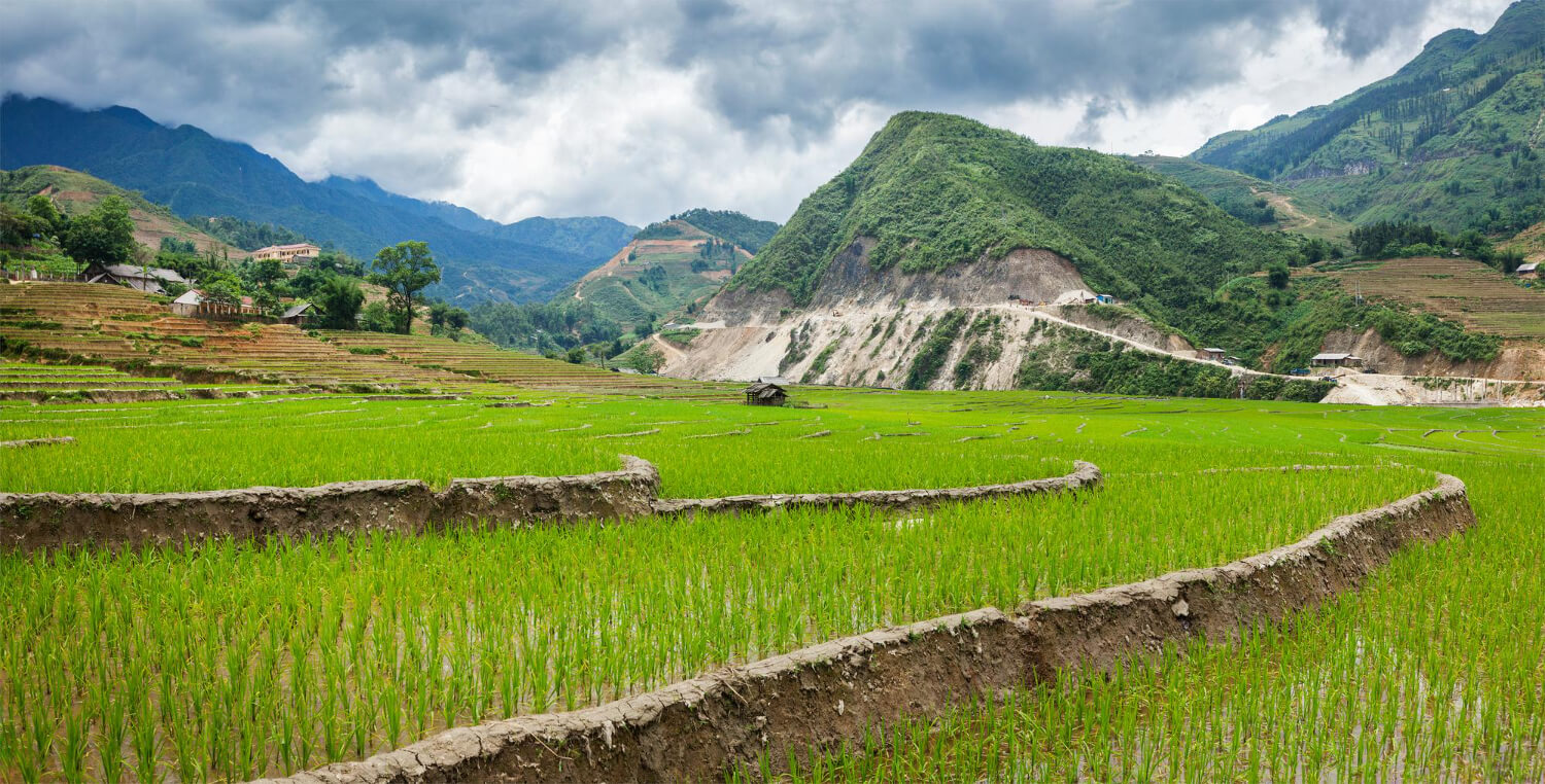 green farm landscape in vietnam