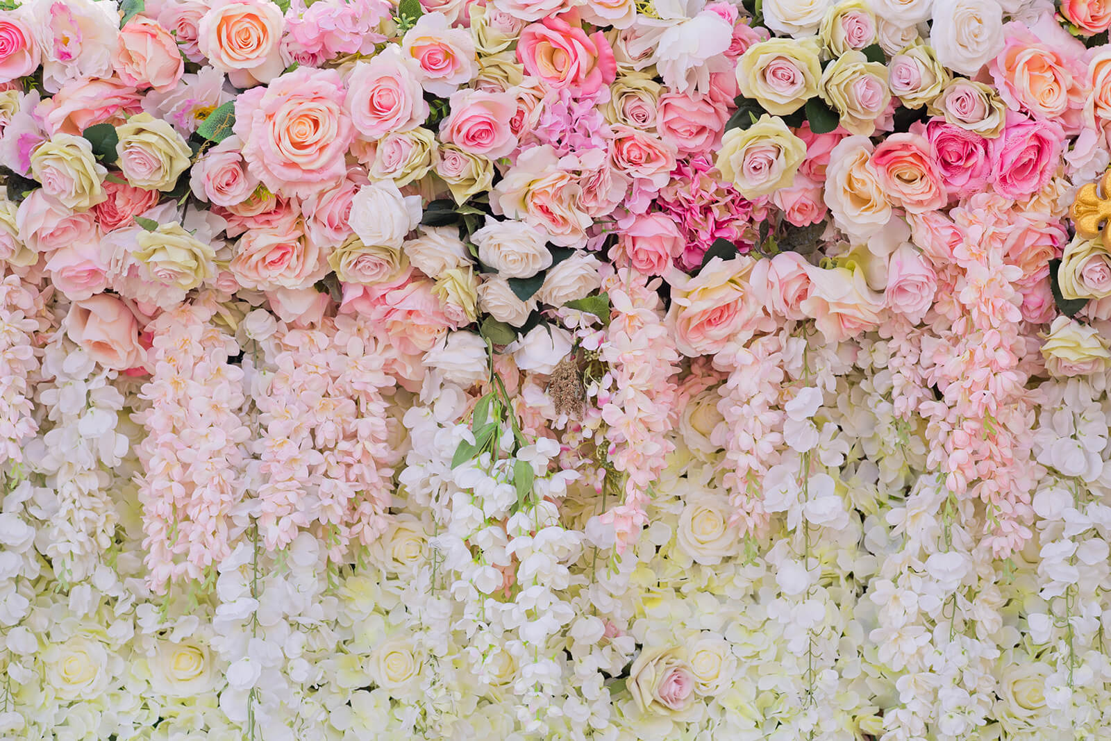 a wall of pink flowers